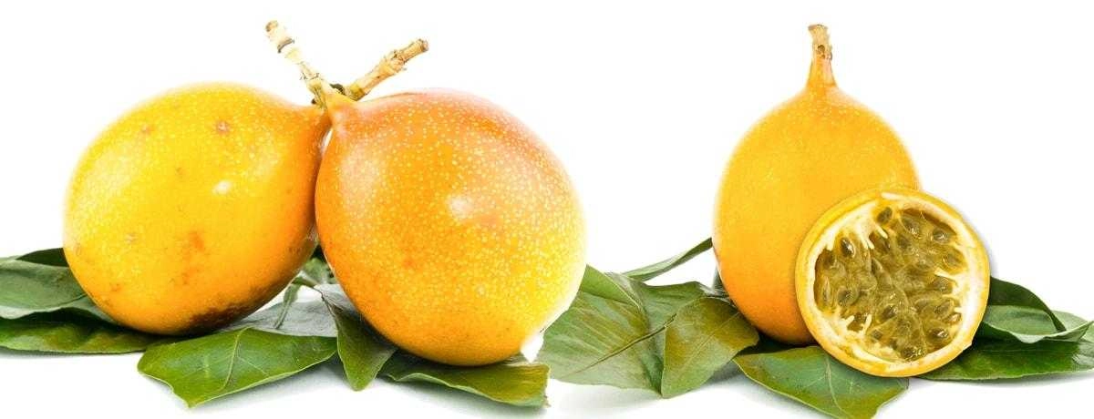 Maracuja | Maracuja Früchte für feinste Pralinenfüllungen