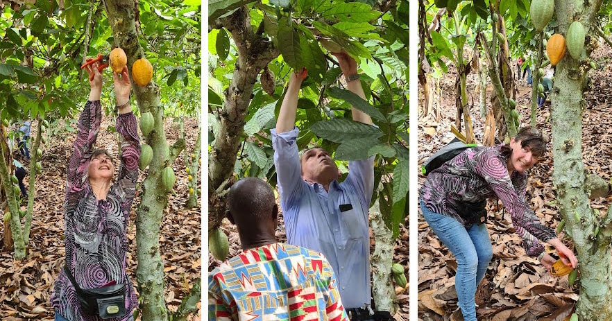 Reise zur Kakaoernte an die Elfenbeinküste