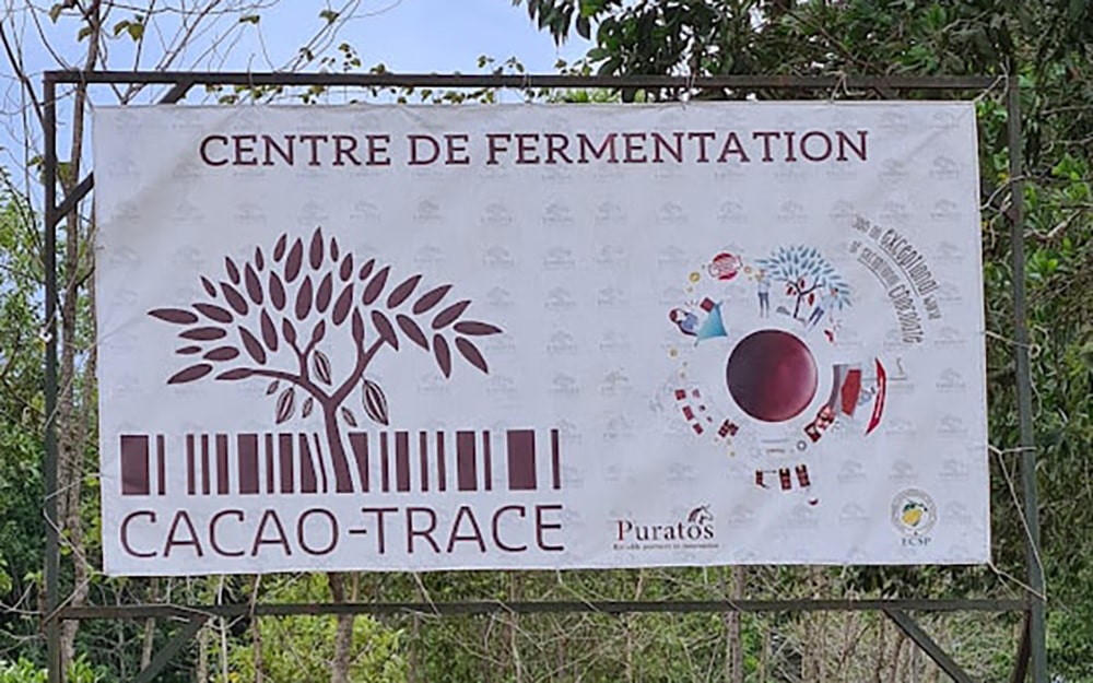 Reise zur Kakaoernte an die Elfenbeinküste Teil 2