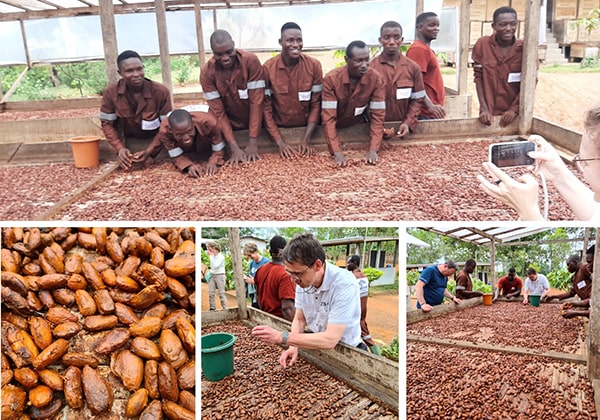 6 Trockung der Kakaobohnen min