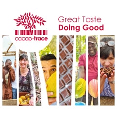 Cacao Trace Reise web min